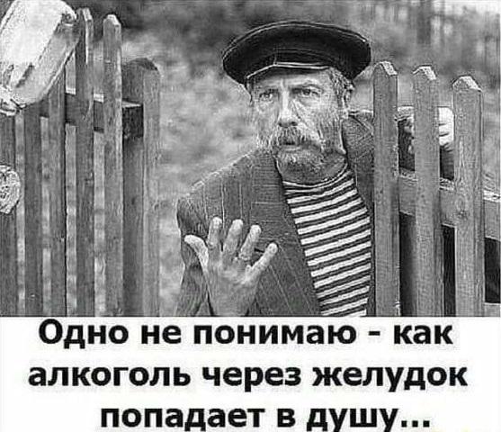 Подробнее о статье Картинки с надписями и прикольные до слез мемы