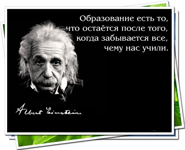 Подробнее о статье Лучшие фразы про образование