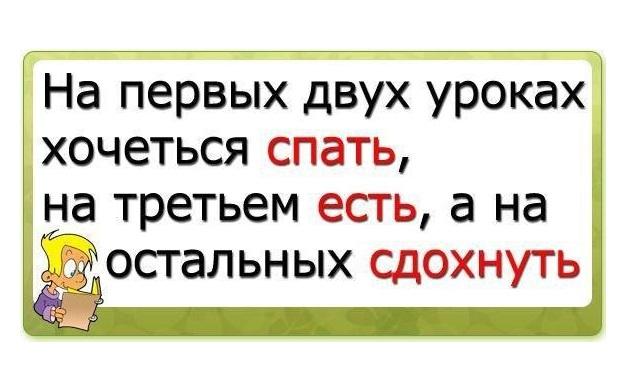 Подробнее о статье Прикольные фразы про школу