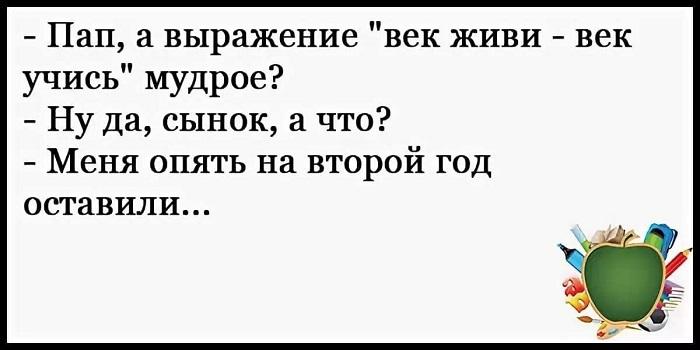 Подробнее о статье Смешные фразы и статусы про школу