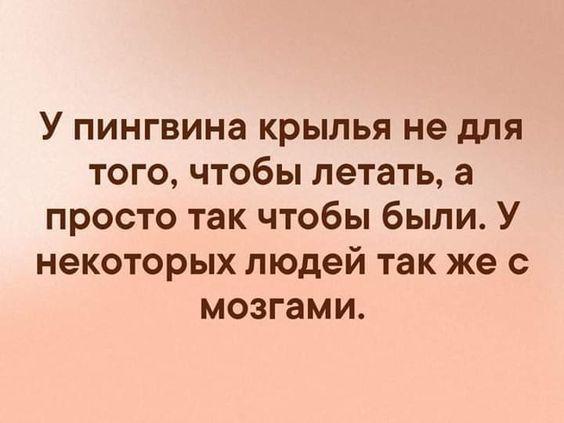 Подробнее о статье Забавные шутки для среды