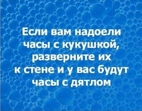 Подробнее о статье Хорошие шутки для среды