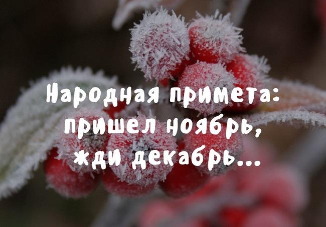 Подробнее о статье Забавные статусы про ноябрь