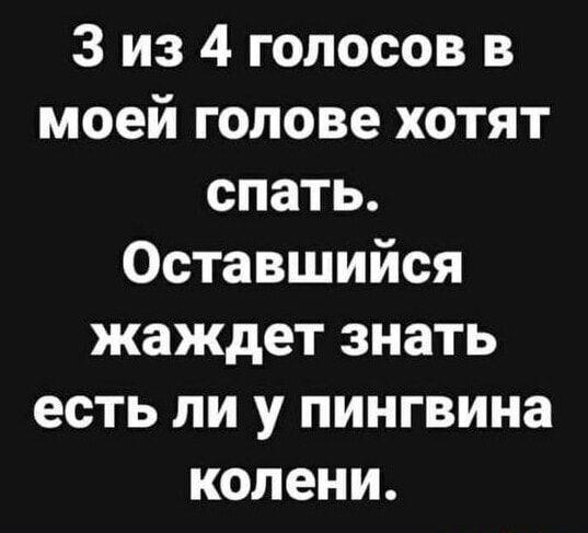 Подробнее о статье Улетные шутки для пятницы