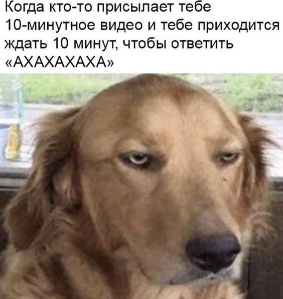 Клевые мемы для понедельника