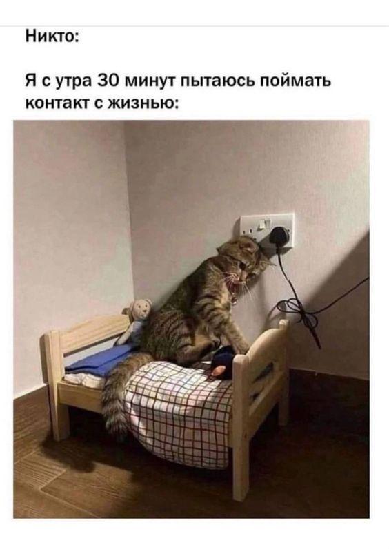 Клевые мемы для понедельника