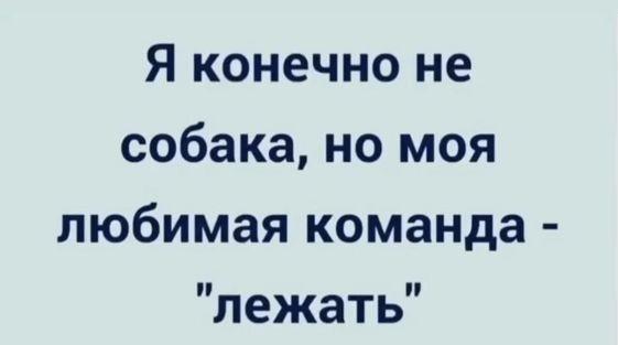 Подробнее о статье Свежие шутки на 28 декабря 2023 года