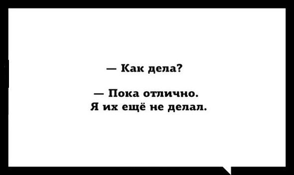 Прикольные и забавные ответы на вопрос "Как твои дела?"