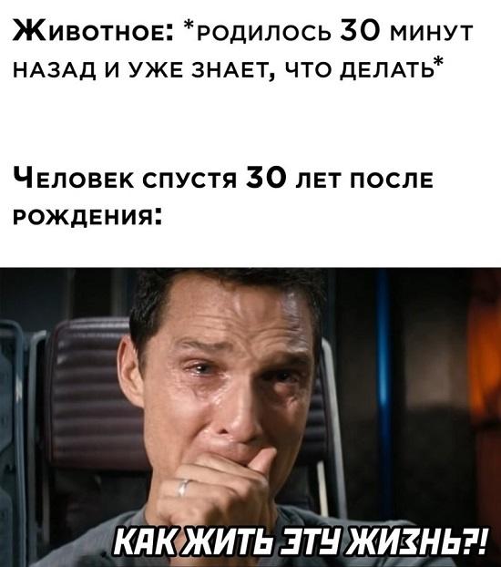 Смешные мемы на 10 января 2024 года