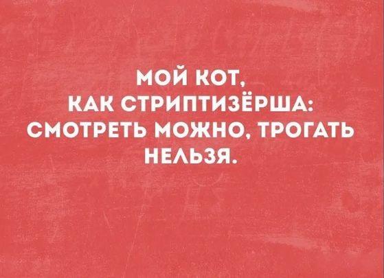 Подробнее о статье Прикольные картинки со свежим юмором