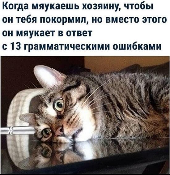 Клевые мемы-картинки