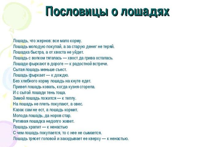 Подробнее о статье Пословицы и поговорки про лошадей