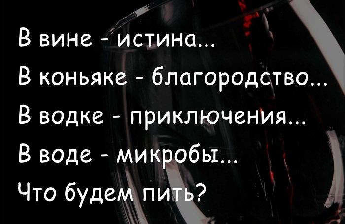 Подробнее о статье Смешные фразы про алкоголь