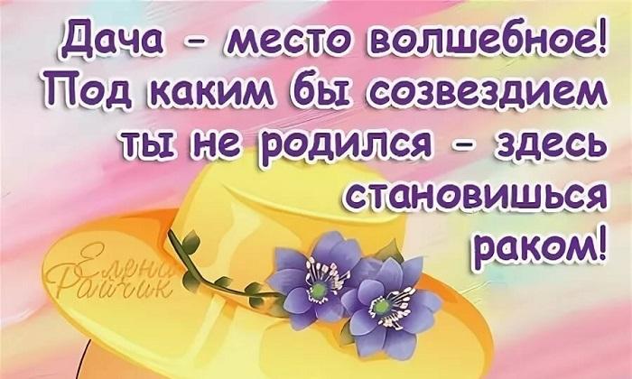 Подробнее о статье Смешные фразы и шутки про дачу