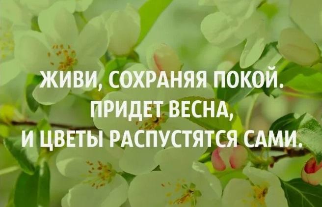 Подробнее о статье Цитаты про весну на английском языке с переводом