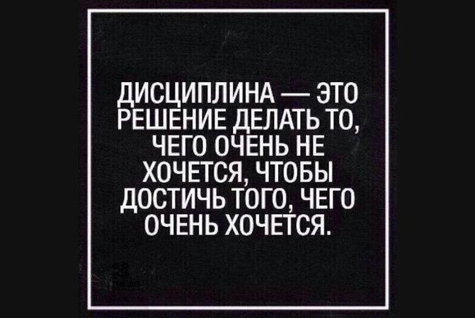 Подробнее о статье Мудрые фразы и выражения про дисциплину