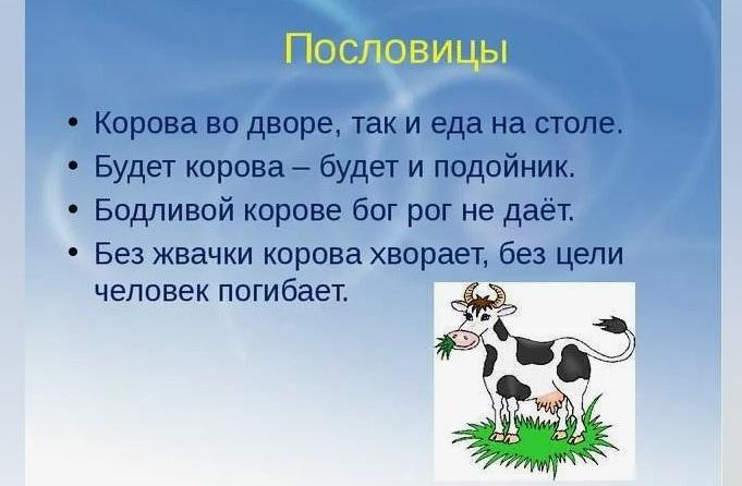 Подробнее о статье Пословицы и поговорки про корову и быка