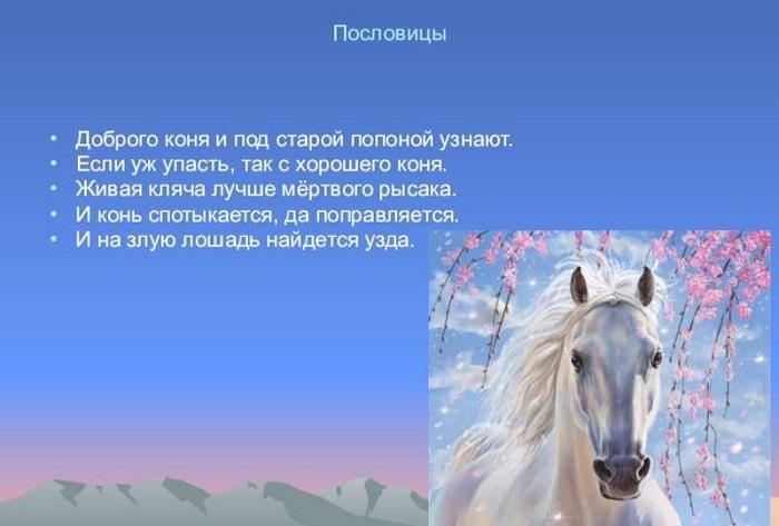 Подробнее о статье Пословицы и поговорки про лошадей и коней