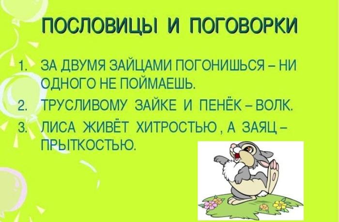 Пословицы и поговорки про зайца