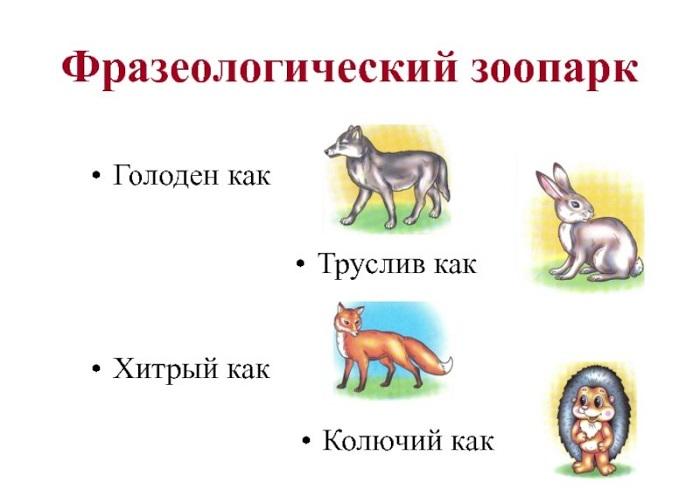 Интересные фразеологизмы с животными
