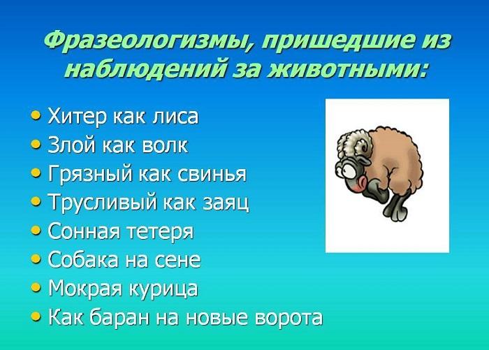 Фразеологизмы с животными и разъяснениями