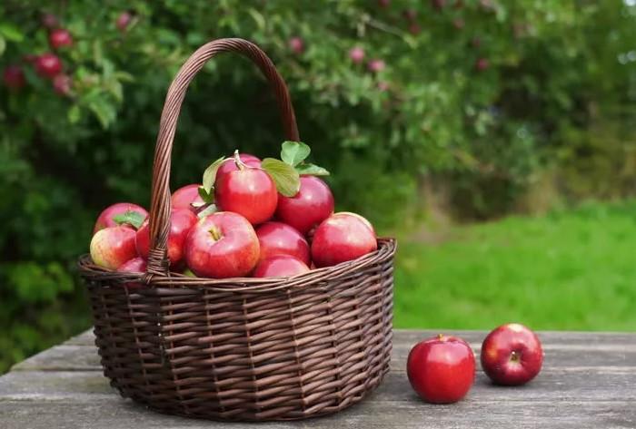 Подробнее о статье Красивые стихи про яблоки, которые вы дарите